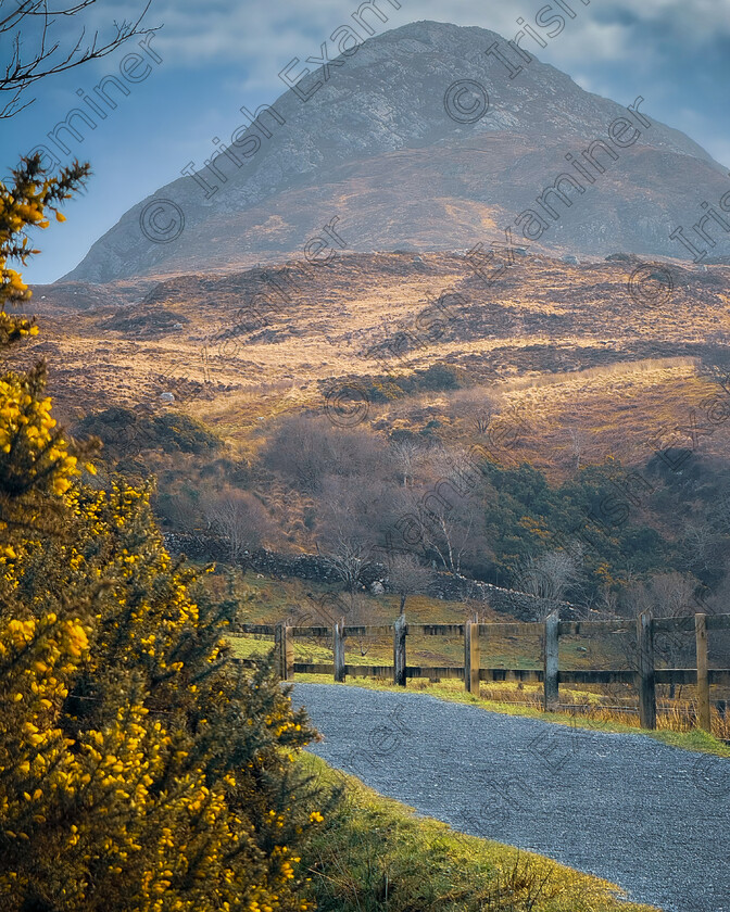 IMG 3041 
 Diamond Hill
Connemara, Co. Galway, Ireland