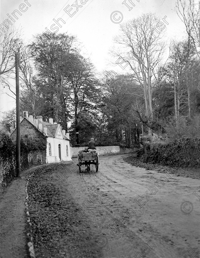 Maryborough Hill Douglas Cork 1165913 
 Maryborough Hill, Douglas pictured in 1939 Ref. 427C Old black and white carts suburbs