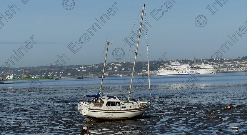 WhitegateBay-CorkHarbourView 08-Oct2022 
 Whitegate Bay View Across Cork Harbour