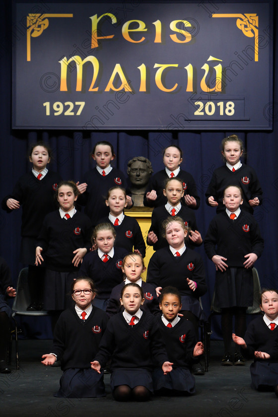 Feis23022018Fri23 
 15~31
St. Vincent’s 4th Class performing.
 Speech and Drama Class: 476: “The Peg O’Mahony Memorial Perpetual Cup” Choral Speaking 4th Class Feis Maitiú 92nd Festival held in Fr. Mathew Hall. EEjob 23/02/2018 Picture: Gerard Bonus.