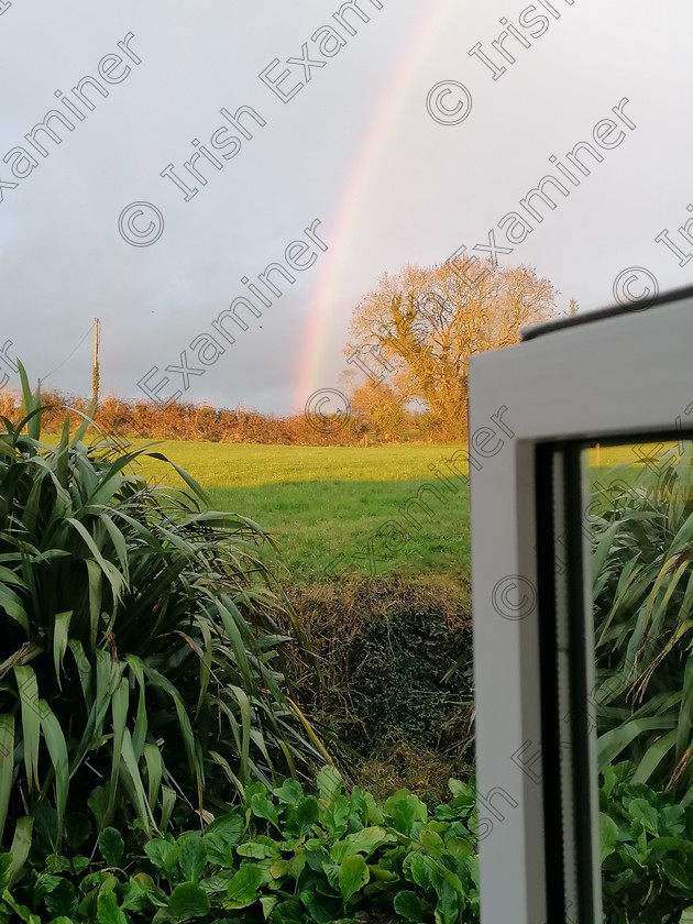 IMG 20201216 160019 
 View from window from Leitrim Lodge in Kilworth Co. Cork Ireland. Picture: Joanna Kulakowska