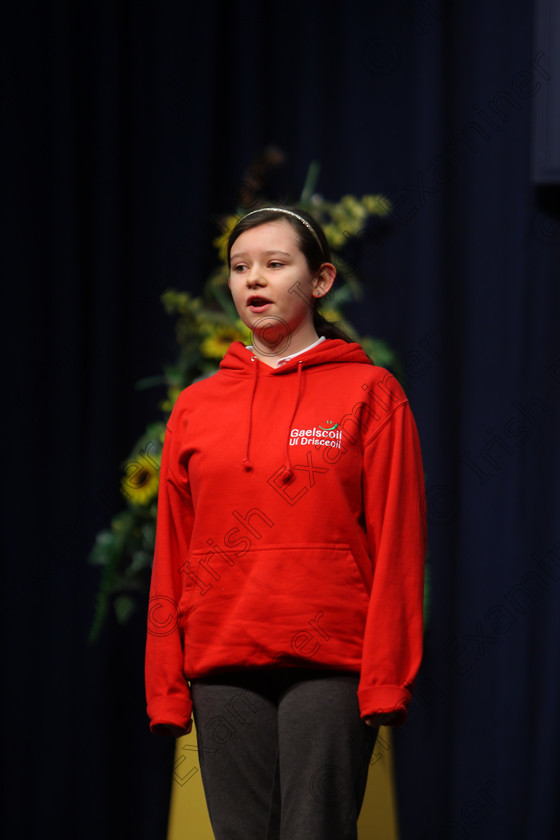 Feis20022018Tue02 
 2
Helen Healy performing.
 Speech and Drama Class: 364: Girls 11 Years and Under Section 1 Feis Maitiú 92nd Festival held in Fr. Mathew Hall. EEjob 20/02/2018 Picture: Gerard Bonus.