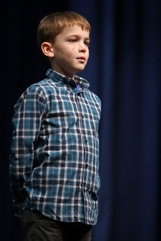 Feis11032018Sun28 
 28
Ruarch án O’ Laighin reciting his poem