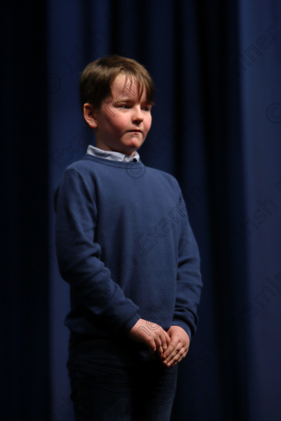 Feis11032018Sun35 
 35
Frank Dineen reciting his poem