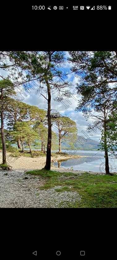 897e0de7-25b7-49fc-a96b-d5e213fa0bd9 
 Ross Island
Killarney National Park