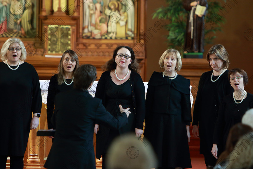 Feis0302109Sun41 
 40~41
Cor Lae Nua sing “If You love Me” and “Moon River” Conducted by Nicholas McMurray.

Class: 79: “The Holy Trinity Perpetual Cup” Chamber Choirs Two Contrasting Songs.

Feis Maitiú 93rd Festival held in Fr. Matthew Hall. EEjob 03/02/2019. Picture: Gerard Bonus.