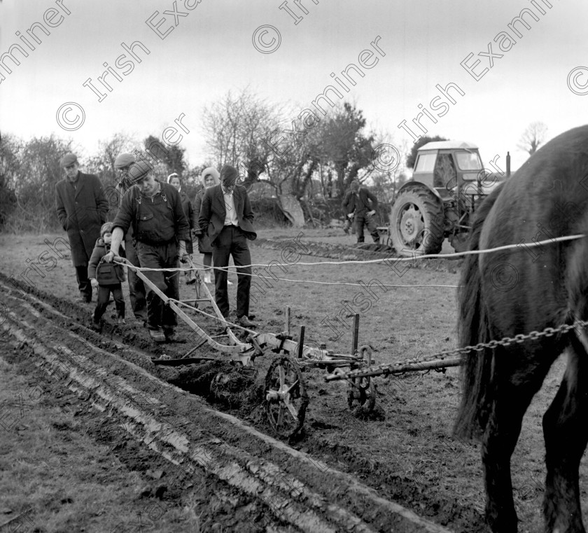 1253337 
 Famous ploughman Jerry Horgan competing in the Macroom ploughing championship in 1971 Ref. 639P-171 old black and white