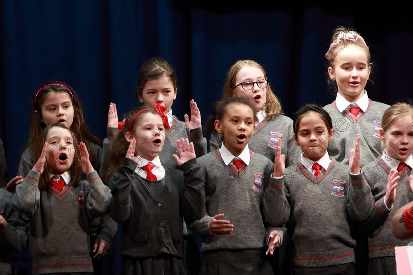 Feis27022020Thur08 
 6~10
The Rockboro Singers singing Dance Monkey.

Class:84: “The Sr. M. Benedicta Memorial Perpetual Cup” Primary School Unison Choirs

Feis20: Feis Maitiú festival held in Father Mathew Hall: EEjob: 27/02/2020: Picture: Ger Bonus.