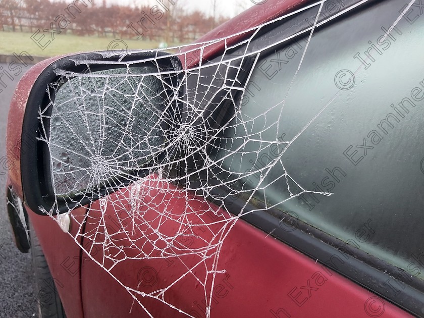 20201207 085950 
 Cold winter mornings, but beautiful webs