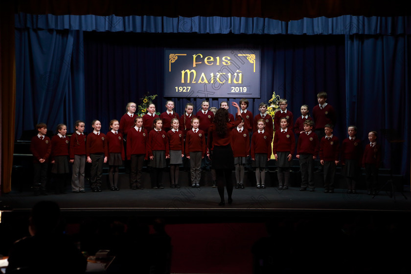 Feis28022019Thu42 
 42~44
Gaelscoil Uí Eigeartaigh Cobh singing “Noreen Bán”.

Class: 85: The Soroptimist International (Cork) Perpetual Trophy and Bursary”
Bursary Value €130 Unison or Part Choirs 13 Years and Under Two contrasting folk songs.

Feis Maitiú 93rd Festival held in Fr. Mathew Hall. EEjob 28/02/2019. Picture: Gerard Bonus