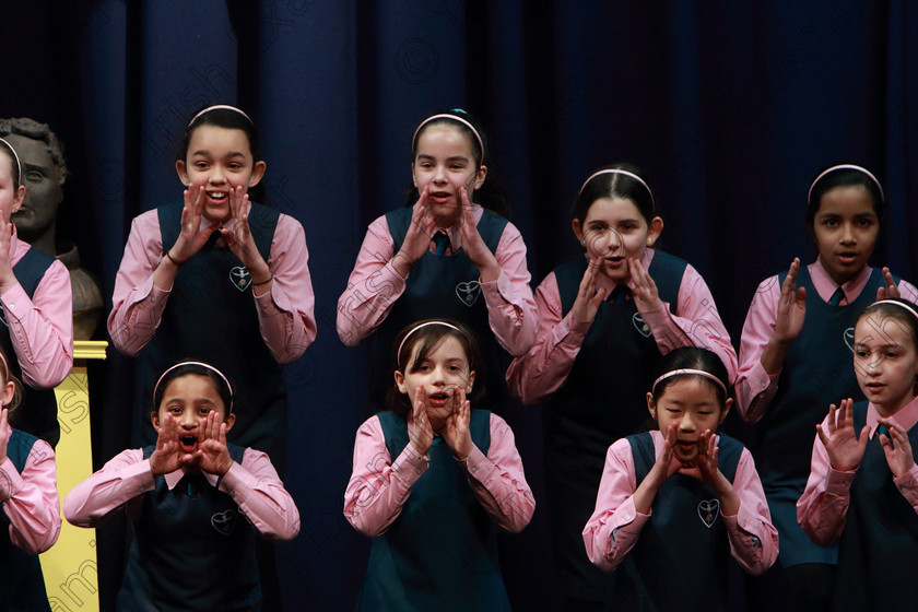 Feis10032020Tues42 
 37~42
Scoil Spioraid Naoimh Bishopstown performing Be Aware.

Class:476: “The Peg O’Mahony Memorial Perpetual Cup” Choral Speaking 4thClass

Feis20: Feis Maitiú festival held in Father Mathew Hall: EEjob: 10/03/2020: Picture: Ger Bonus.