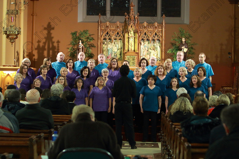 Feis0302109Sun77 
 74~77
Scrubs Choir singing “Standing In A Need Of A Prayer” and “Bohemian Rhapsody” Conducted by Patrick Dalton.

Class: 78: “The Lynch Memorial Perpetual Cup” Adult Vocal Choirs Two Contrasting Songs.

Feis Maitiú 93rd Festival held in Fr. Matthew Hall. EEjob 03/02/2019. Picture: Gerard Bonus.