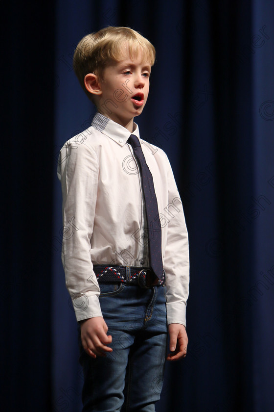 Feis11032018Sun27 
 27
Tomás Mahon reciting his poem