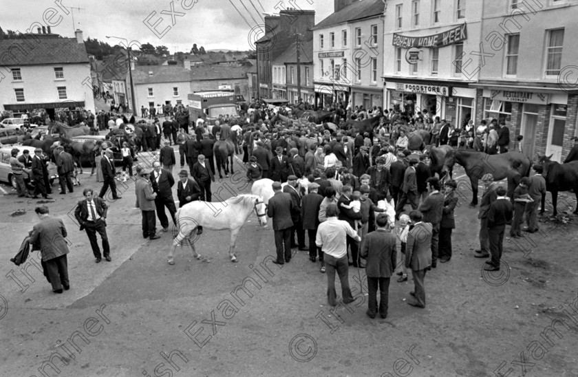 balla9 
 General view of Ballabuidhe (Dunmanway) horse fair, Co. Cork 7/8/1974 Ref. 176/74 old black and white