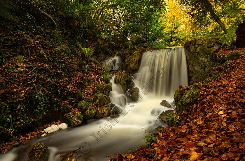 6C2A0052-Edit-2 
 Birr co Offaly in last of autumn sun ,photo by Helen Maloney