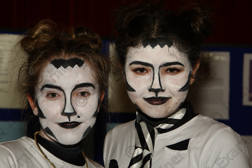 Feis15032018Thu13 
 13
Performers Lily O’Connell and Molly O’Mahony from Blarney Street and Togher performed “Mongo Jerry and Rumple Teaser”.
 Speech and Drama Class: 336: “The Trevor Ryan Perpetual Cup” Musical Drama Duo18 Years and Under Feis Maitiú 92nd Festival held in Fr. Mathew Hall. EEjob 15/03/2018 Picture: Gerard Bonus.