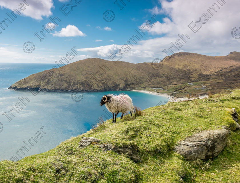 DSCF8811 
 Keem Beach, Achill Island, taken 16th of April 2916. Picture: Todor Tilev