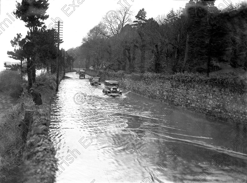 834286 834286 
 For 'READY FOR TARK'
Flooding on Cork - Cobh road near Fota House 29/12/1932 Ref. 28B old black and white rains floods