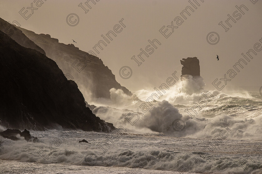 An Searrach-Storm Ashley-3144 
 Storm Ashley battering "An Searrach" at Kinard Lispole,East of Dingle Co Kerry recently.Photo by: Noel O Neill 
 Keywords: An Searrach, Ashley, strorm, waves