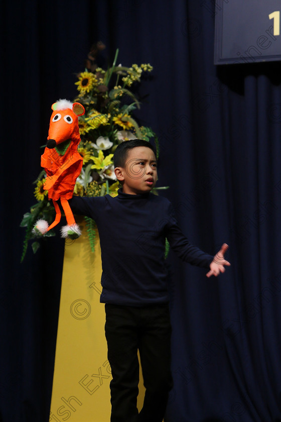 Feis20032018Tue17 
 16~17
Shayne Limansag giving a Commended performance of “Boy” from The Witches.
 Speech and Drama Class: 329: Dramatic Solo 8 Years and Under Feis Maitiú 92nd Festival held in Fr. Mathew Hall. EEjob 20/03/2018 Picture: Gerard Bonus