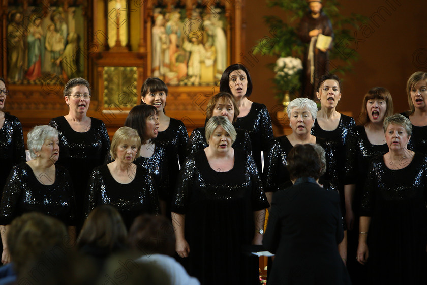 Feis04022018Sun73 
 71~76
The Voices conducted by Mary Pedder Daly 
 Holy Trinity Capuchin Church Adult Choirs Class: 78: “The Lynch Memorial Perpetual Cup” Adult Vocal Choirs Two Contrasting Songs Feis Maitiú 92nd Festival held in Fr. Matthew Hall. EEjob 02/02/2018 Picture: Gerard Bonus.