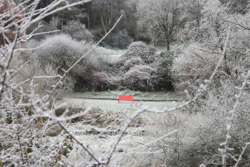 DSC 1227 (2) 
 ' Stand-out sit down space'. A bench offers a potential rest spot for hardy walkers in the Glen Amenity Park during a cold weather spell.
Image taken by Martin Byrne, Dec. 2022.