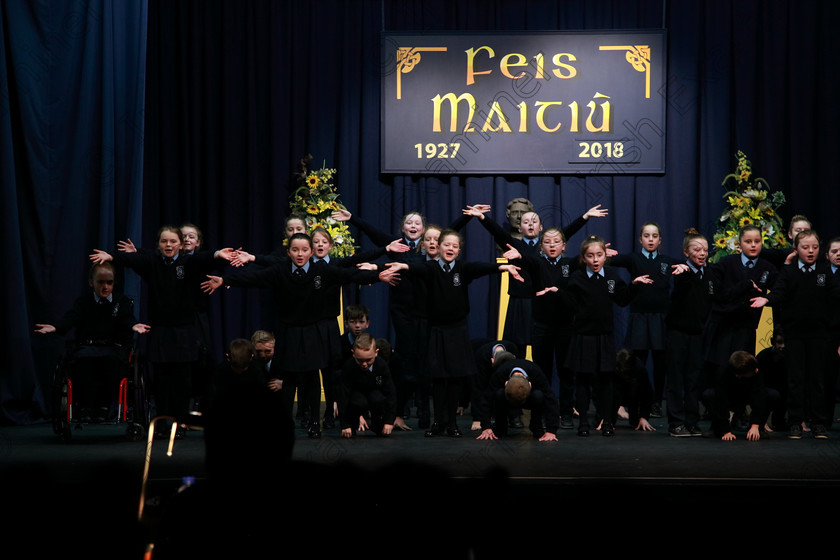 Feis13032018Tue26 
 25~26
Rathpeacon NS.3rd Class performing “Daddy Fell into the Pond” as their own choice. 
 Speech and Drama Class: 3rd & 4th Class Primary Schools, Action Verse Feis Maitiú 92nd Festival held in Fr. Mathew Hall. EEjob 13/03/2018 Picture: Gerard Bonus.