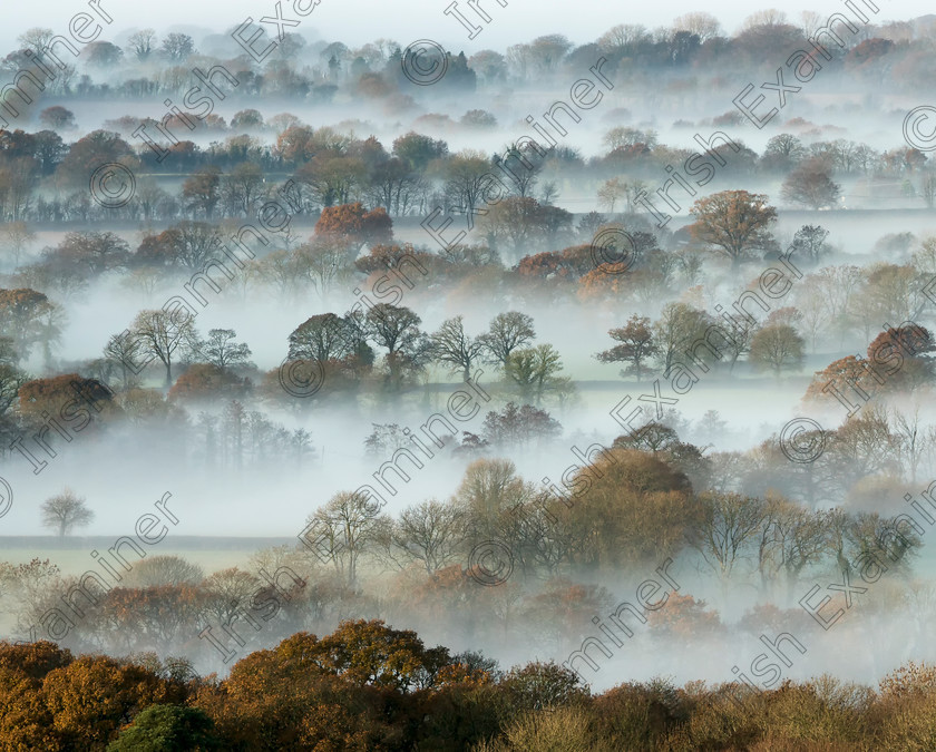 DSC01215 
 Picture taken from my front garden of the Suir Valley South Kilkrnny on a December foggy morning. Picture Mary Kinsella