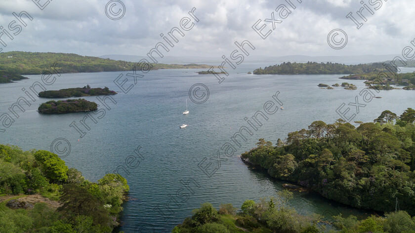 dan-glen-8 
 Ocean Week 2022 Bantry Bay, Glengarriff, West Cork. Picture Dan Linehan