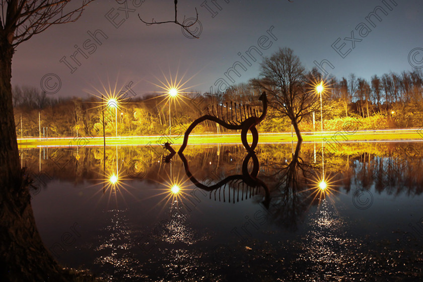 lee fields dragon dragonnn-2 
 Time to reflect on 2015, The Lee bursts its banks at the Lee Fields where the Lee Dragon resides reflecting on itself. Photo: Rory Coomey