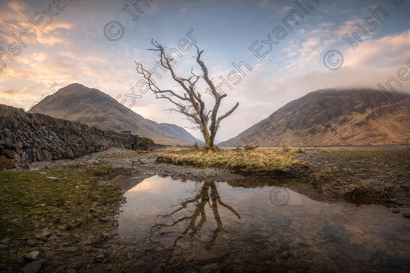 DSC 1722 
 Moody morning at dead tree in Doo Lough valley
Doo Lough, County Mayo