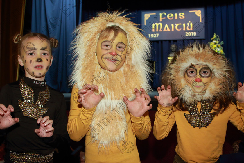 Feis12022019Tue03 
 3
Emma Jackson Hegarty, Mike Joe and Ellen Foley from Timoleague NS.

Class: 104: “The Pam Golden Perpetual Cup” Group Action Songs -Primary Schools Programme not to exceed 8 minutes.

Feis Maitiú 93rd Festival held in Fr. Mathew Hall. EEjob 12/02/2019. Picture: Gerard Bonus