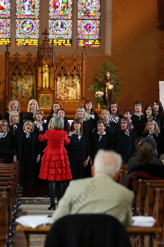 Feis04022018Sun28 
 24~29
Sonatina Music. Conducted by Pat Sheehan-Corbet.
 Holy Trinity Capuchin Church Adult Choirs Class: 76: “The Wm. Egan Perpetual Cup” Adult Sacred Choral Group or Choir Feis Maitiú 92nd Festival held in Fr. Matthew Hall. EEjob 02/02/2018 Picture: Gerard Bonus.