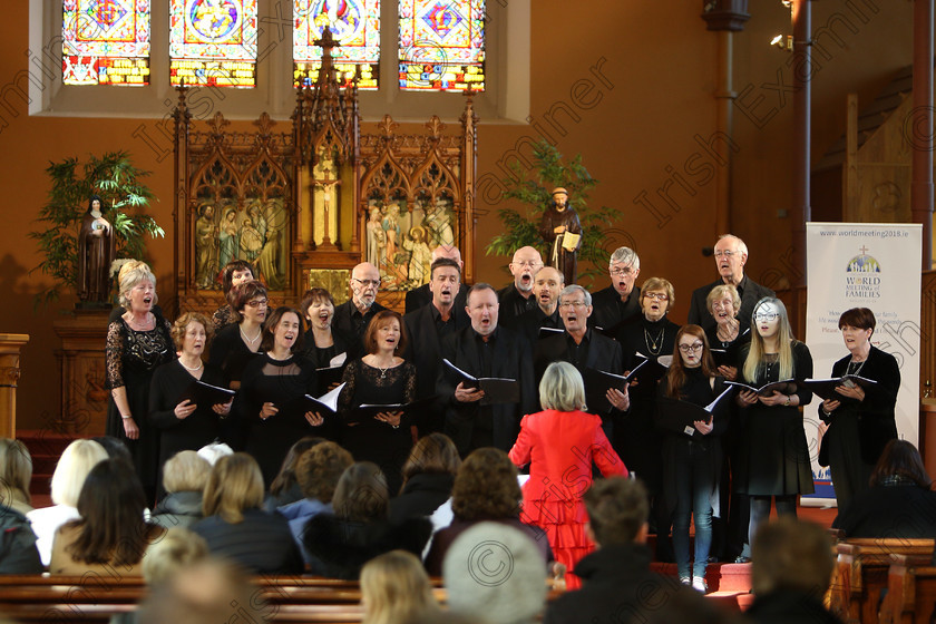 Feis04022018Sun44 
 40~45
Gaudate conducted by Pat Sheehan-Corbett.
 Holy Trinity Capuchin Church Adult Choirs Class: 76: “The Wm. Egan Perpetual Cup” Adult Sacred Choral Group or Choir Feis Maitiú 92nd Festival held in Fr. Matthew Hall. EEjob 02/02/2018 Picture: Gerard Bonus.