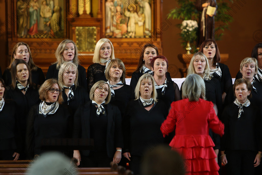 Feis04022018Sun25 
 24~29
Sonatina Music. Conducted by Pat Sheehan-Corbet.
 Holy Trinity Capuchin Church Adult Choirs Class: 76: “The Wm. Egan Perpetual Cup” Adult Sacred Choral Group or Choir Feis Maitiú 92nd Festival held in Fr. Matthew Hall. EEjob 02/02/2018 Picture: Gerard Bonus.