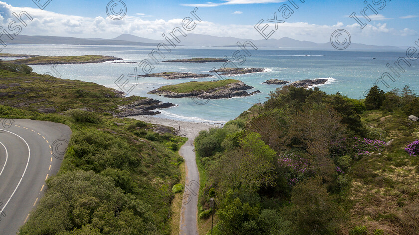 dan-renard-11 
 Ocean Week 2022 White Strand 13km from Sneem on the Ring of Kerry. Picture Dan Linehan