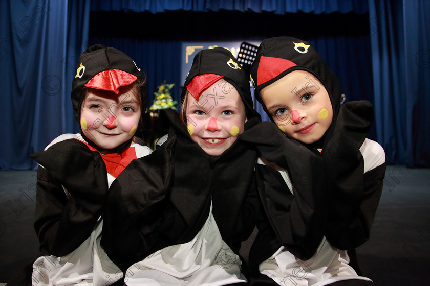 Feis28022019Thu69 
 69
Ellen Cusack, Niamh Collins and Beth Ann Hegarty from Brightlights Studios.

Class: 103: “The Rebecca Allman Perpetual Trophy” Group Action Songs 10 Years and Under Programme not to exceed 10minutes.

Feis Maitiú 93rd Festival held in Fr. Mathew Hall. EEjob 28/02/2019. Picture: Gerard Bonus