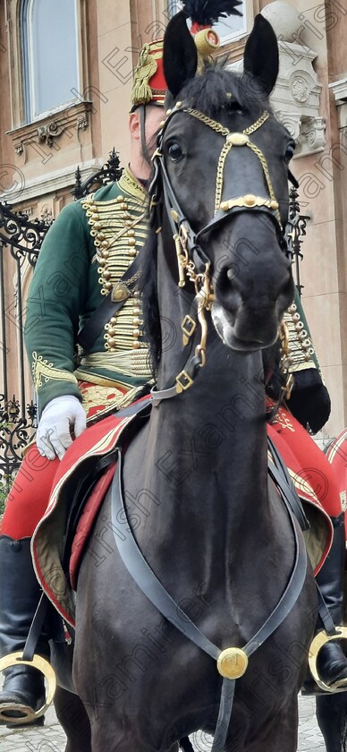 20230513 143601 
 "Black Beauty" Ceremonial horse and rider, Buda Castle Budapest.