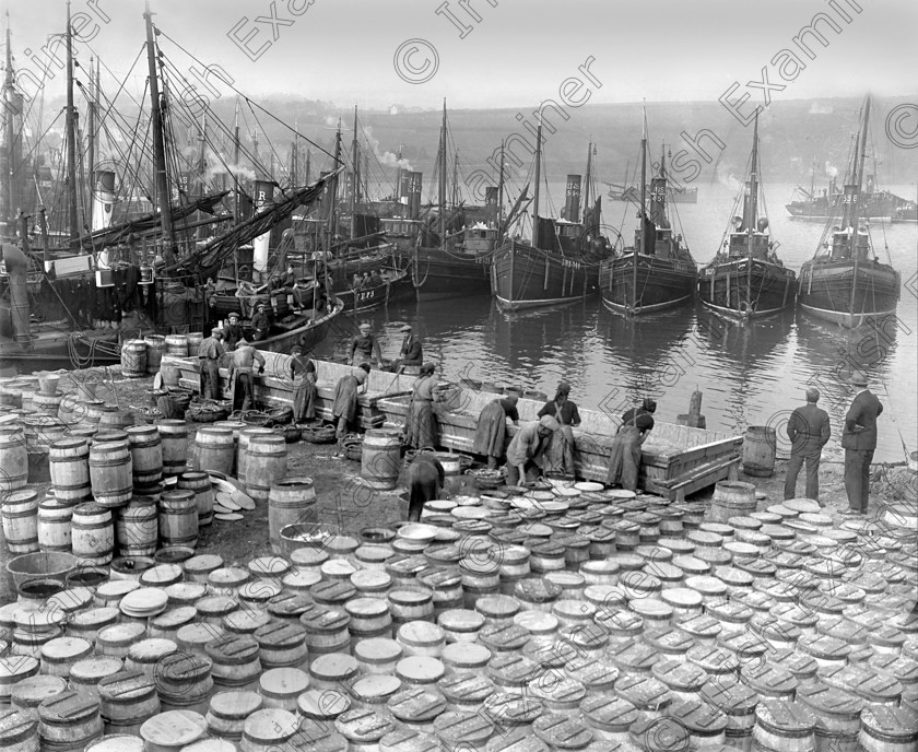 857801 857801 
 For 'READY FOR TARK'
Kinsale herring fishing 14/05/1927 Ref. 31A Old black and white trawlers