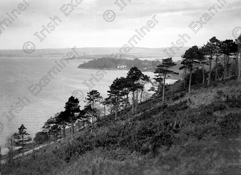 815689 815689 
 For 'READY FOR TARK'
View of Marino Point and Cork Harbour from the heights of Carrigaloe, near Cobh in May 1945. Ref. 296C Old black and white views