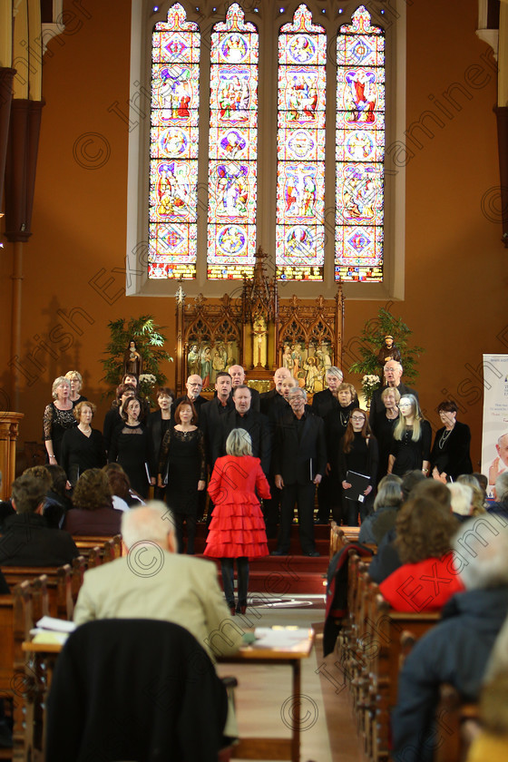 Feis04022018Sun45 
 40~45
Gaudate conducted by Pat Sheehan-Corbett.
 Holy Trinity Capuchin Church Adult Choirs Class: 76: “The Wm. Egan Perpetual Cup” Adult Sacred Choral Group or Choir Feis Maitiú 92nd Festival held in Fr. Matthew Hall. EEjob 02/02/2018 Picture: Gerard Bonus.