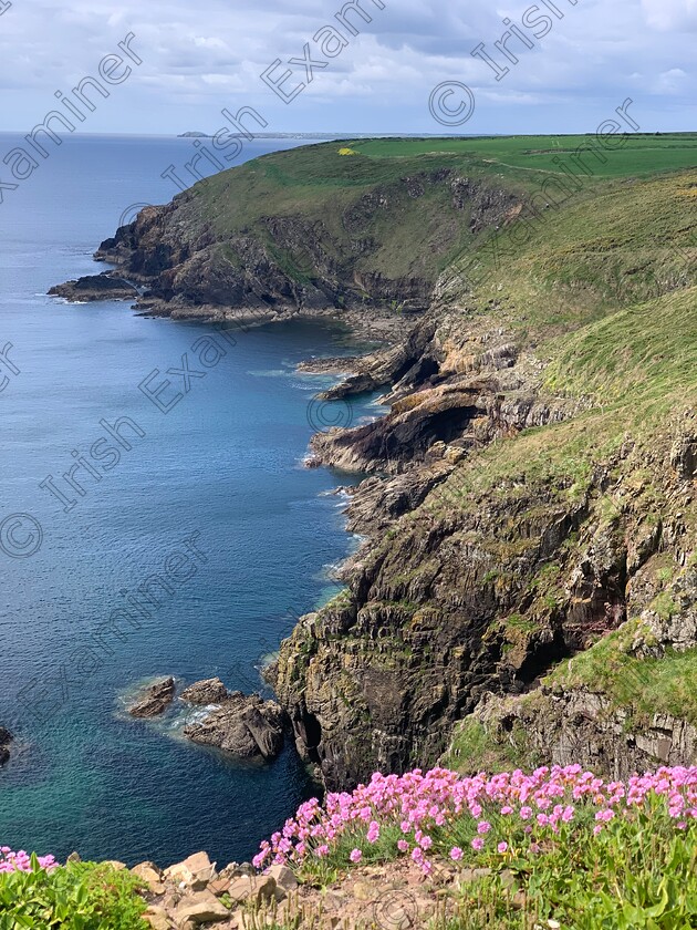 IMG 0382 
 Ardmore Cliff walk May 13th