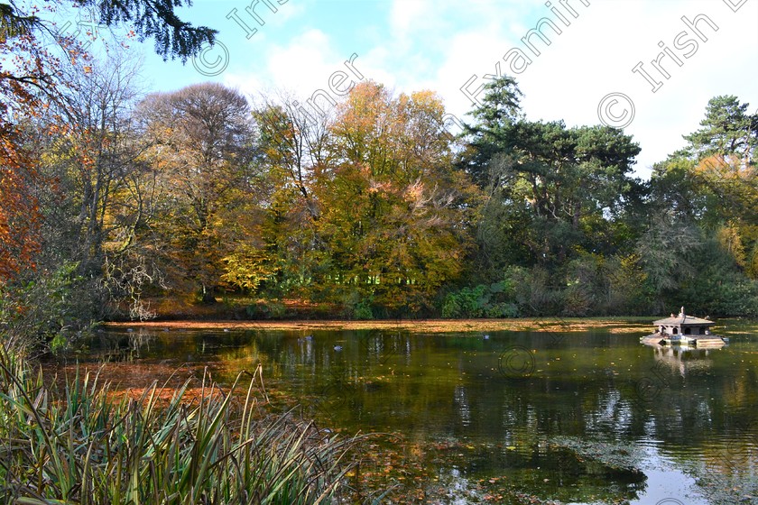 DSC 0043 (2) 
 Autumn Scene: "Duck Pond" at Castle Park, Kilkenny, beautiful colour and place to visit especially this time of the year. Picture: John Healy.