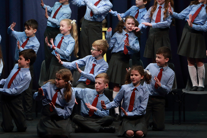 Feis10032020Tues48 
 48~54
Cup Winners and Silver Medallists; Ovens NS performing Transylvania Dreaming.

Class:476: “The Peg O’Mahony Memorial Perpetual Cup” Choral Speaking 4thClass

Feis20: Feis Maitiú festival held in Father Mathew Hall: EEjob: 10/03/2020: Picture: Ger Bonus.