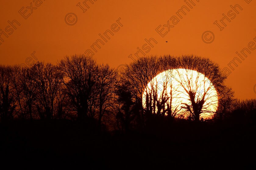 DEC 3148 
 Winter Sunset over North Cork January 2021, 
Picture : James Mcgrath.