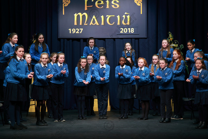 Feis21022018Wed27(1) 
 26~31
Mary’s Cobh 6th Class performing Transylvania Dreaming.
 Speech and Drama Classes: 485: Action Verse “The O’Brien Perpetual Cup”5th Class and Class: 484: “The Sri Lanka Festival Perpetual Trophy” 6th Class, Feis Maitiú 92nd Festival held in Fr. Mathew Hall. EEjob 21/02/2018 Picture: Gerard Bonus.