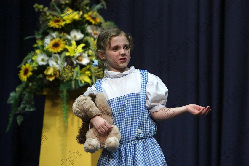 Feis16032018Fri10 
 10
Katie O’Connell performing “Dorothy in the Cyclone” from Wizard of Oz.
 Speech and Drama Class: 328: “The Fr. Nessan Shaw Memorial Perpetual Cup” Dramatic Solo 10 Years and Under Section 3 Feis Maitiú 92nd Festival held in Fr. Mathew Hall. EEjob 16/03/2018 Picture: Gerard Bonus.