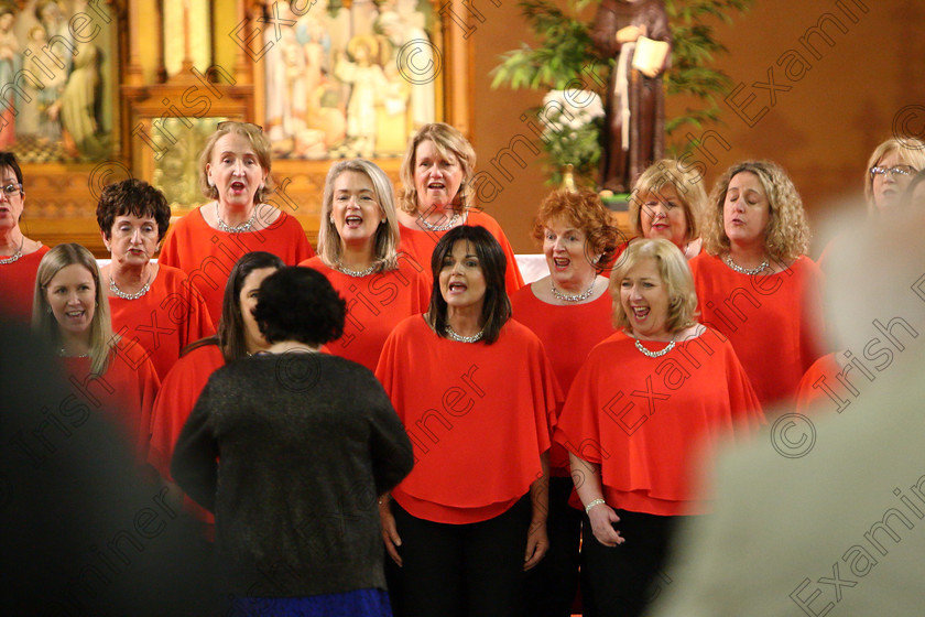 Feis04022018Sun90 
 90
Java Ladies Chorus conducted by Serena Standley.
 Class: 79: “The Holy Trinity Perpetual Cup” Chamber Choirs; Two Contrasting Songs Feis Maitiú 92nd Festival held in Fr. Mathew Hall. EEjob 04/02/2018 Picture: Gerard Bonus.