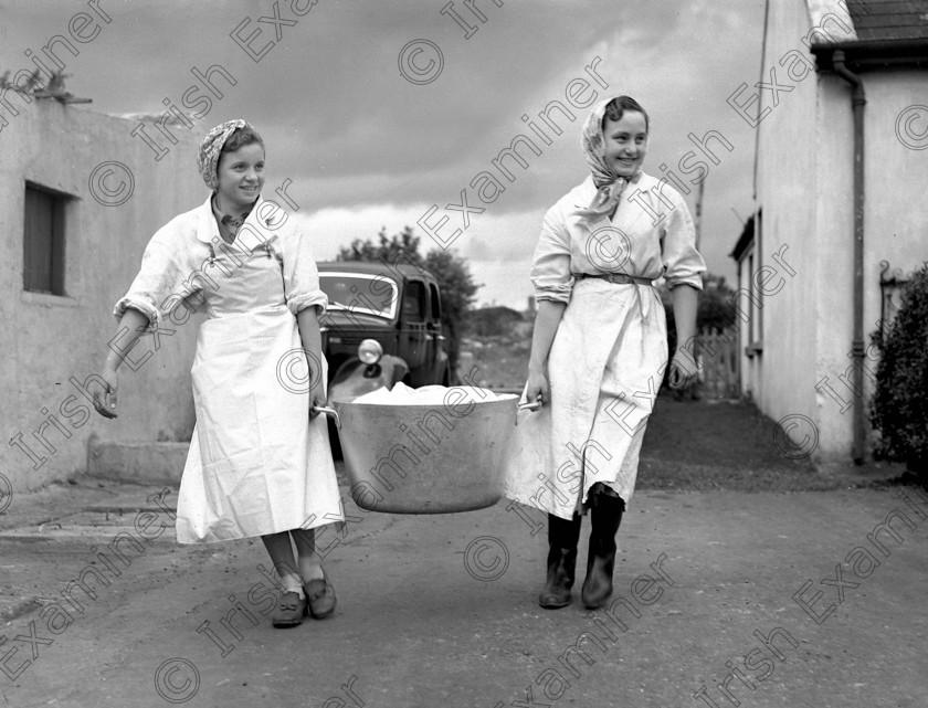 drish1 
 O'Reilly's tripe and drisheen at St. Philomena's Road, Gurranabraher, Cork. 20/06/1953 Ref. 95G