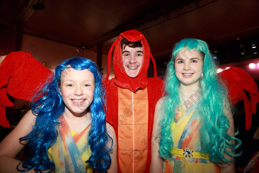 Feis03032019Sun44 
 44
Nessa O’Callighan, David Murphy and Chloe Fields from CADA Performing Arts sang “She’s In Love” from The Little Mermaid

Class: 16: “The Reidy Perpetual Trophy” Ensemble Under 16 Years One Ensemble from any Light Opera or Musical.

Feis Maitiú 93rd Festival held in Fr. Mathew Hall. EEjob 03/03/2019. Picture: Gerard Bonus